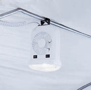 Fan and Light